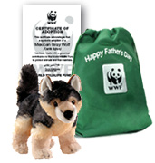 Gray wolf adoption kit