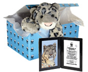 World Wildlife Fund