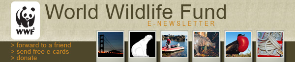 world wildlife fund canada stuffed animals