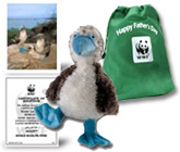 blue footed booby plush