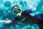 Person snorkeling