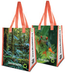 Two Amazon rain forest grocery tote bags with orange handles