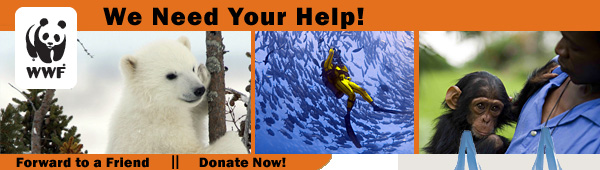 We need your help!