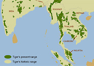 Current tiger range