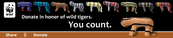 Donate in honor of wild tigers. You count.
