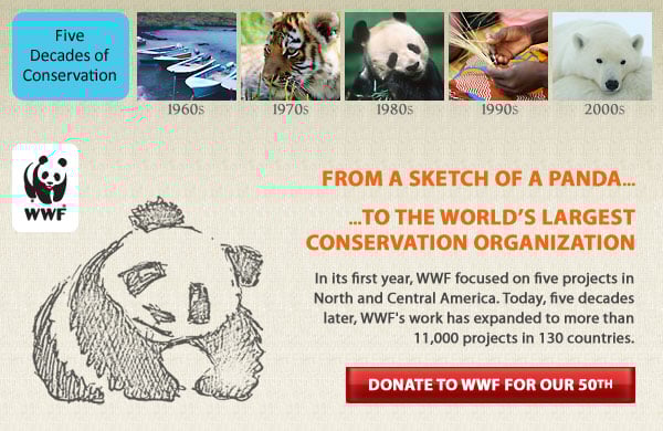From the sketch of a panda... to the world's largest conservation organization