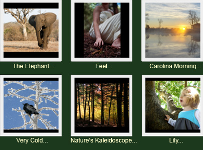 View the entries we've received so far