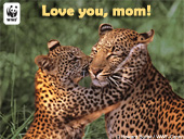 Mother's Day Leopard E-card