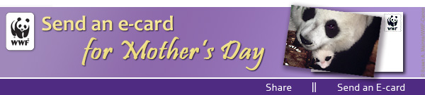Send Mother's Day E-cards