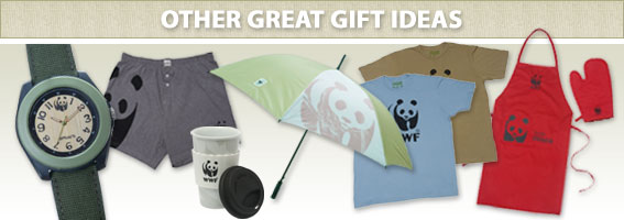 Other Great Gift Ideas