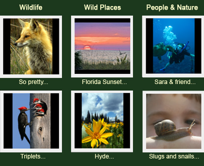 View the entries we've received so far