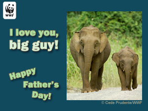 Father's Day Elephant E-card