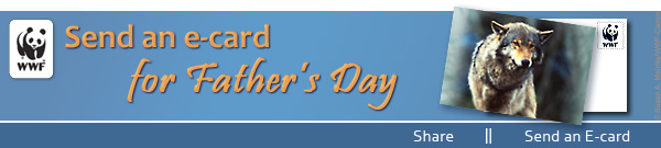 Send Father's Day E-cards