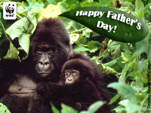 Father's Day Gorilla E-card