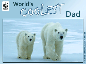 Father's Day Polar Bear E-card