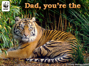 Father's Day Tiger E-card