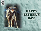 Father's Day Wolf E-card