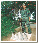 How many poachers were arrested?