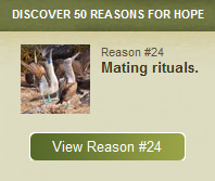 Reason for Hope #24