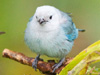 Photo Contest E-card