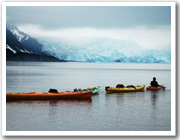 Photo Contest Winner