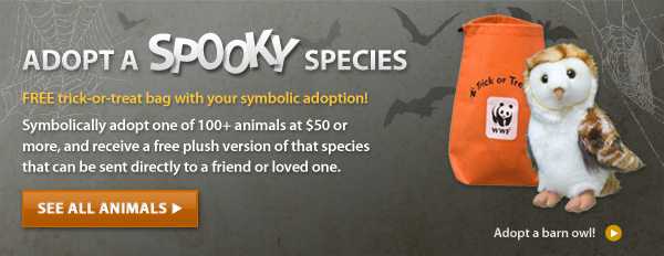 Adopt a Spooky Species