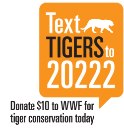 Text TIGERS to 20222