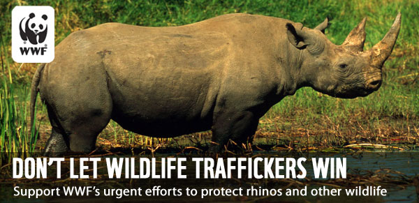 Don't Let Wildlife Traffickers Win - Support WWF's urgent efforts to protect rhinos and other wildlife