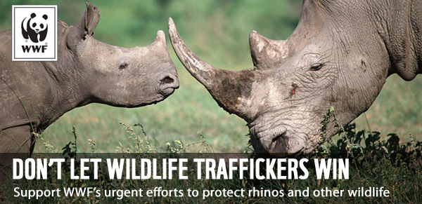 Don't Let Wildlife Traffickers Win - Support WWF's urgent efforts to protect rhinos and other wildlife