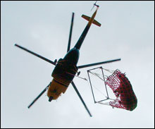 rhino being airlifted