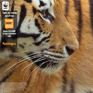 Text for Tigers -- Twitter backgrounds | World Wildlife Fund