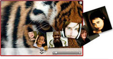 Tiger mosaic Tiger mosaic