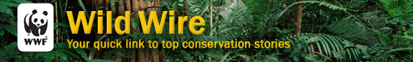 World Wildlife Fund