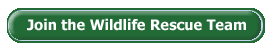 Join the Wildlife Rescue Team